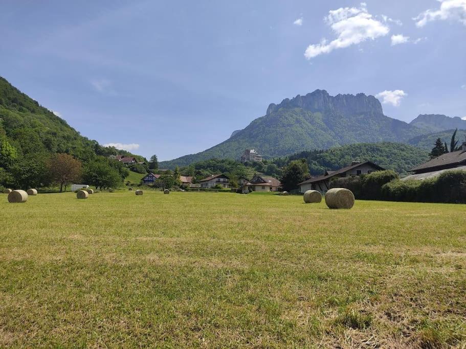 Bel Appartement Au Calme A 5 Minutes Du Village Menthon-Saint-Bernard Zewnętrze zdjęcie
